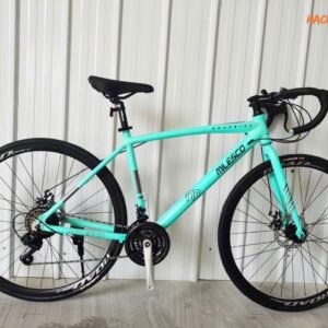 XE ĐẠP NGƯỜI LỚN